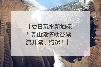 夏日玩水新地标！尧山激情峡谷漂流开漂，约起！