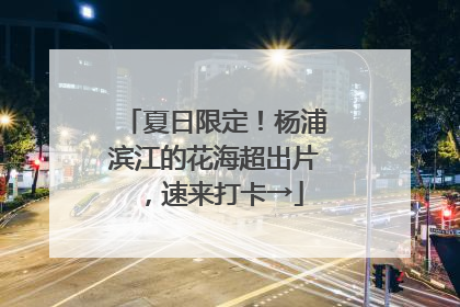 夏日限定！杨浦滨江的花海超出片，速来打卡→