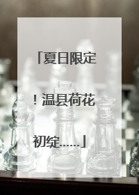 夏日限定！温县荷花初绽……