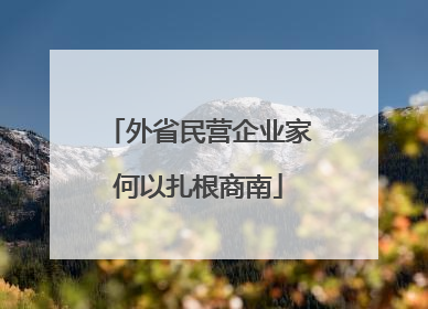 外省民营企业家何以扎根商南