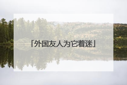 外国友人为它着迷