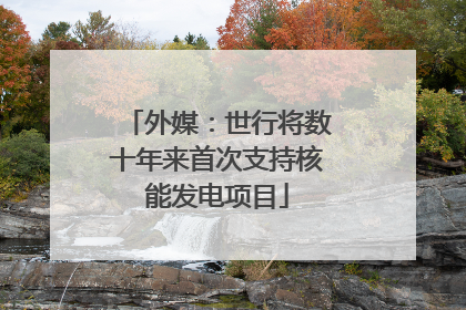 外媒：世行将数十年来首次支持核能发电项目