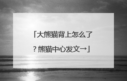 大熊猫背上怎么了？熊猫中心发文→