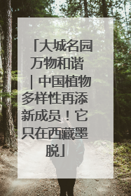 大城名园 万物和谐｜中国植物多样性再添新成员！它只在西藏墨脱