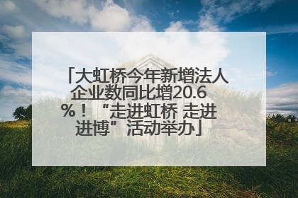 大虹桥今年新增法人企业数同比增20.6%！“走进虹桥 走进进博”活动举办