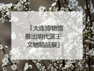 大连博物馆推出明代藩王文物精品展