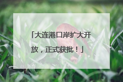 大连港口岸扩大开放，正式获批！