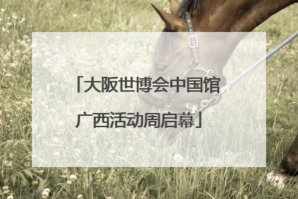 大阪世博会中国馆广西活动周启幕