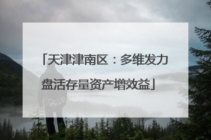 天津津南区：多维发力盘活存量资产增效益