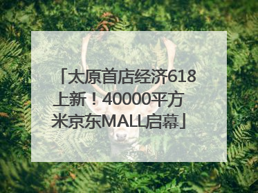 太原首店经济618上新！40000平方米京东MALL启幕