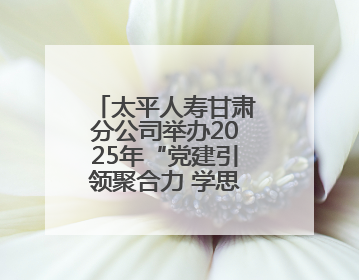 太平人寿甘肃分公司举办2025年“党建引领聚合力 学思践悟助发展”两当党建活动