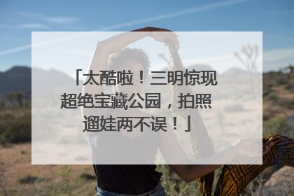 太酷啦！三明惊现超绝宝藏公园，拍照遛娃两不误！