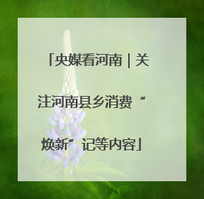 央媒看河南｜关注河南县乡消费“焕新”记等内容