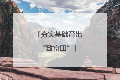 夯实基础育出“致富田”