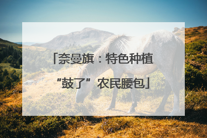 奈曼旗：特色种植“鼓了”农民腰包