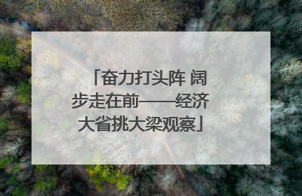 奋力打头阵 阔步走在前——经济大省挑大梁观察