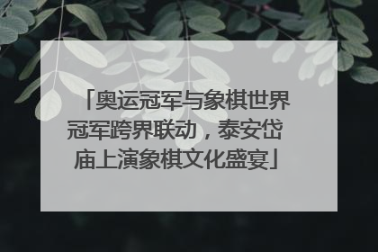 奥运冠军与象棋世界冠军跨界联动，泰安岱庙上演象棋文化盛宴