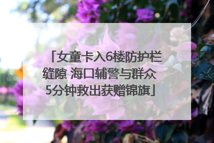 女童卡入6楼防护栏缝隙 海口辅警与群众5分钟救出获赠锦旗