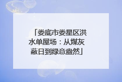 娄底市娄星区洪水单屋场：从煤灰蔽日到绿意盎然