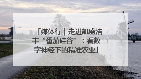 媒体行｜走进凯盛浩丰“番茄硅谷”：看数字神经下的精准农业