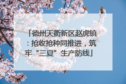 德州天衢新区赵虎镇：抢收抢种同推进，筑牢“三夏”生产防线