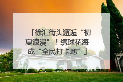徐汇街头邂逅“初夏浪漫”！绣球花海成“全民打卡地”