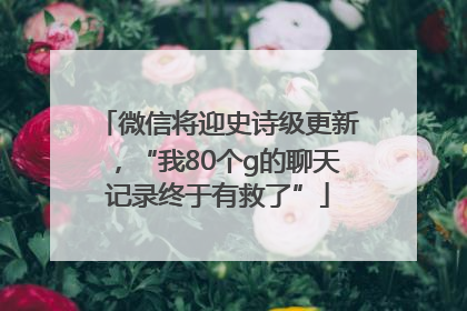 微信将迎史诗级更新，“我80个g的聊天记录终于有救了”