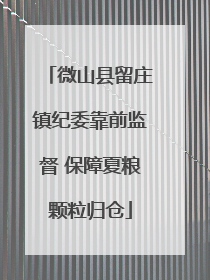 微山县留庄镇纪委靠前监督 保障夏粮颗粒归仓