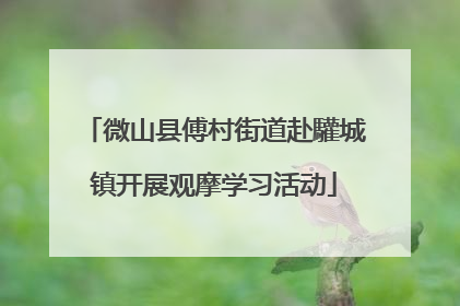 微山县傅村街道赴驩城镇开展观摩学习活动