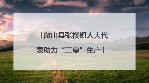 微山县张楼镇人大代表助力“三夏”生产