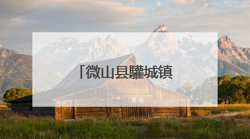 微山县驩城镇三夏生产跑出 “加速度”