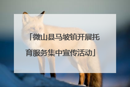 微山县马坡镇开展托育服务集中宣传活动