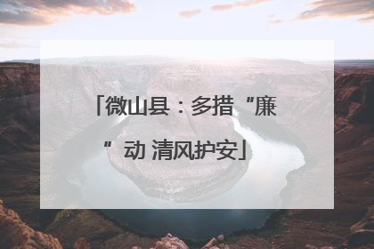 微山县：多措“廉”动 清风护安