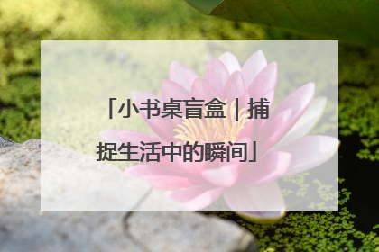 小书桌盲盒｜捕捉生活中的瞬间