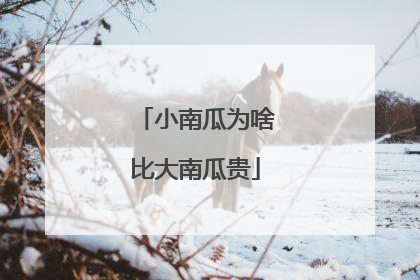 小南瓜为啥比大南瓜贵