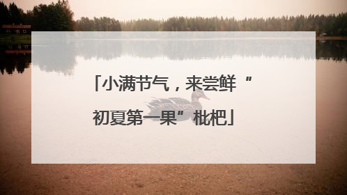 小满节气，来尝鲜“初夏第一果”枇杷