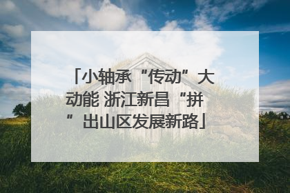 小轴承“传动”大动能 浙江新昌“拼”出山区发展新路