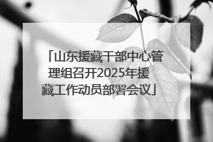 山东援藏干部中心管理组召开2025年援藏工作动员部署会议