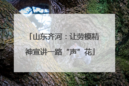 山东齐河：让劳模精神宣讲一路“声”花