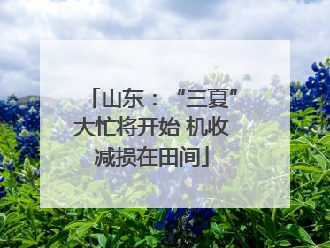 山东：“三夏”大忙将开始 机收减损在田间