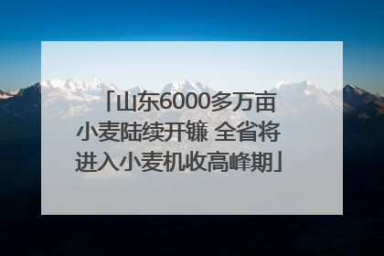 山东6000多万亩小麦陆续开镰 全省将进入小麦机收高峰期