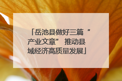 岳池县做好三篇“产业文章” 推动县域经济高质量发展