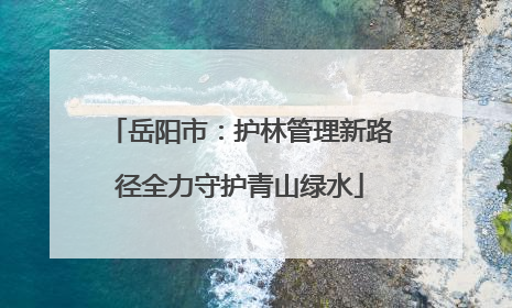 岳阳市：护林管理新路径全力守护青山绿水