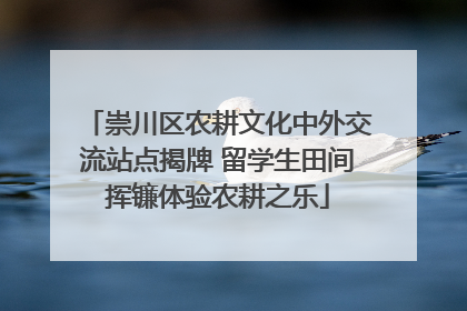 崇川区农耕文化中外交流站点揭牌 留学生田间挥镰体验农耕之乐