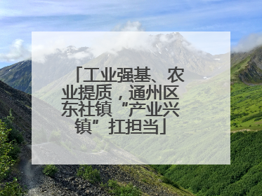 工业强基、农业提质，通州区东社镇“产业兴镇”扛担当