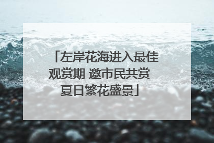 左岸花海进入最佳观赏期 邀市民共赏夏日繁花盛景