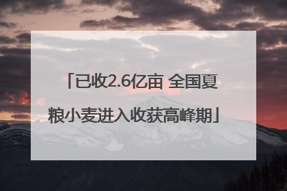 已收2.6亿亩 全国夏粮小麦进入收获高峰期