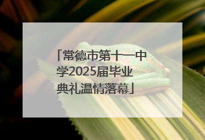 常德市第十一中学2025届毕业典礼温情落幕