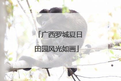 广西罗城夏日田园风光如画