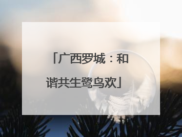 广西罗城：和谐共生鹭鸟欢